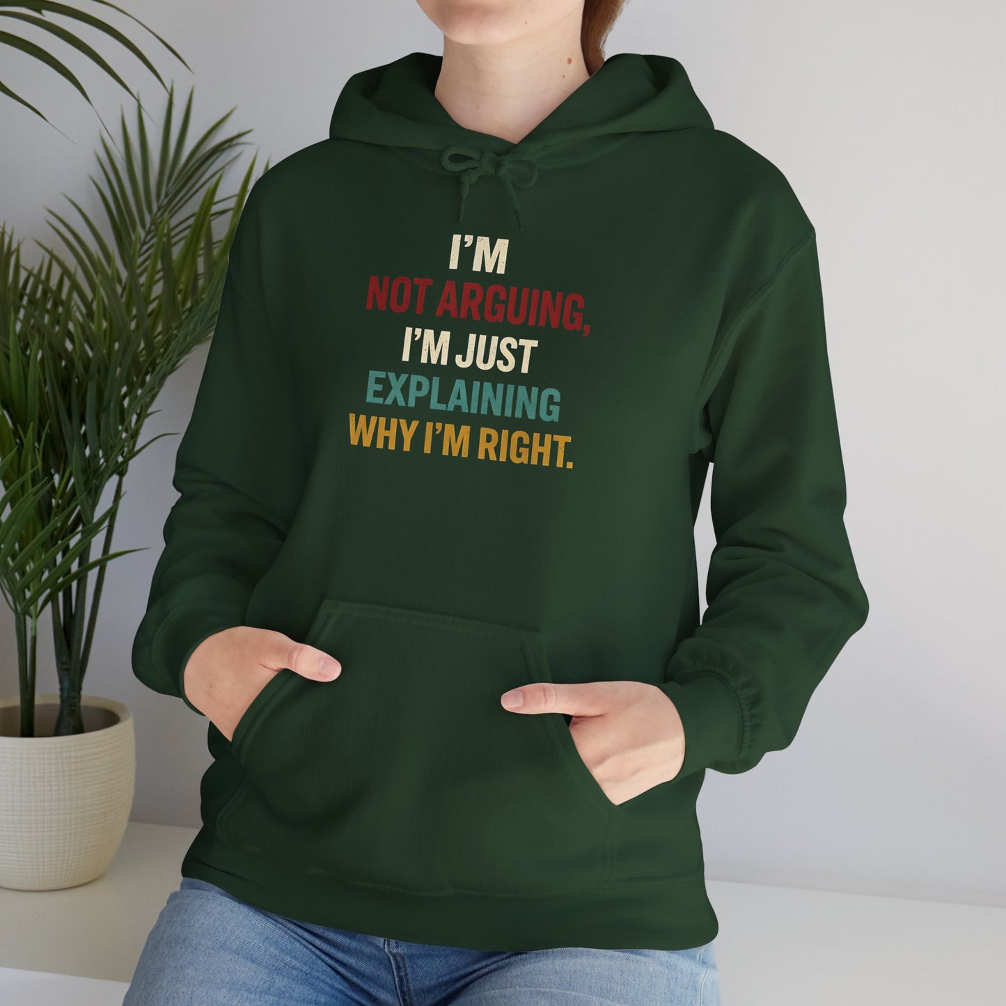 I'm Not Arguing Hoodie — I'm Just Explaining Why I'm Right - Hoodie