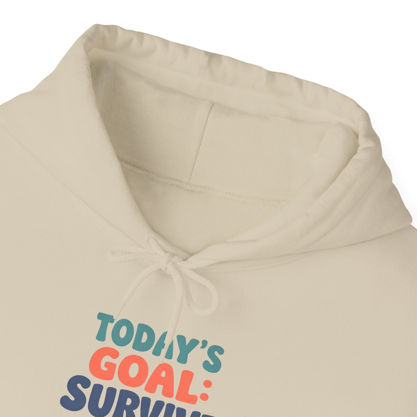 Today's Goal: Survive With Style - Hoodie