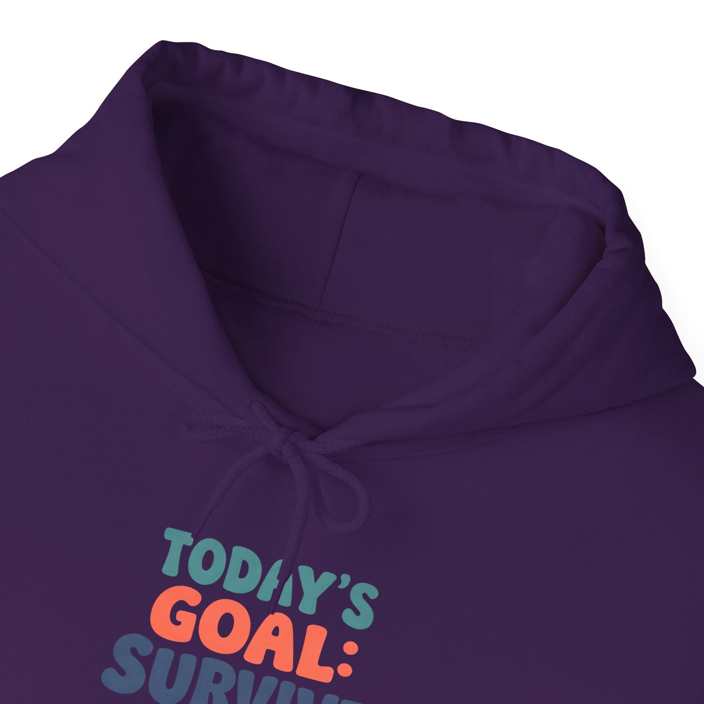 Today's Goal: Survive With Style - Hoodie